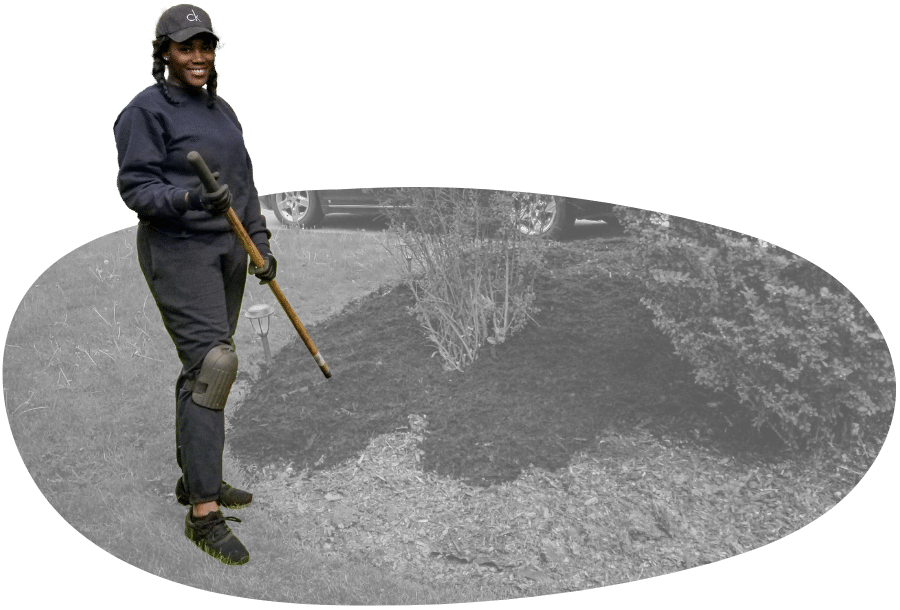 A Williams Lawn Care Services employee spreading fresh mulch in a landscape bed.