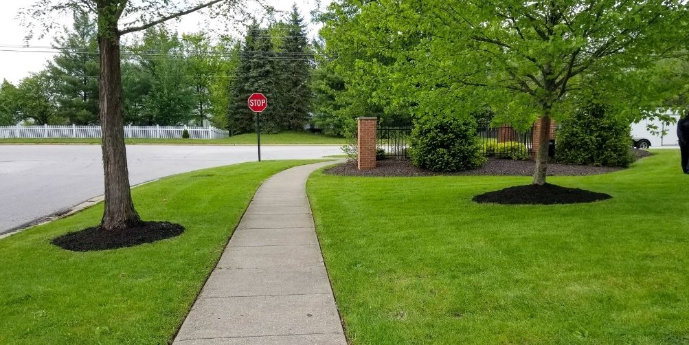 A sidewalk surrounded by a freshly mowed lawn and curb. The sidewalk has also been neatly edged.