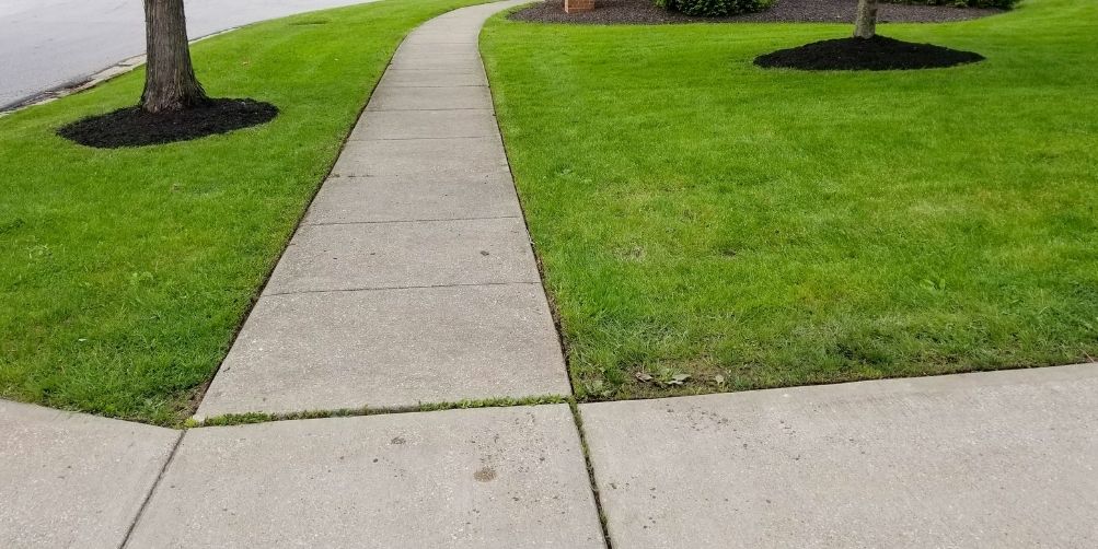 A sidewalk surrounded on both side by freshly mowed grass. Williams Lawn Care Services has also edged the sidewalk.