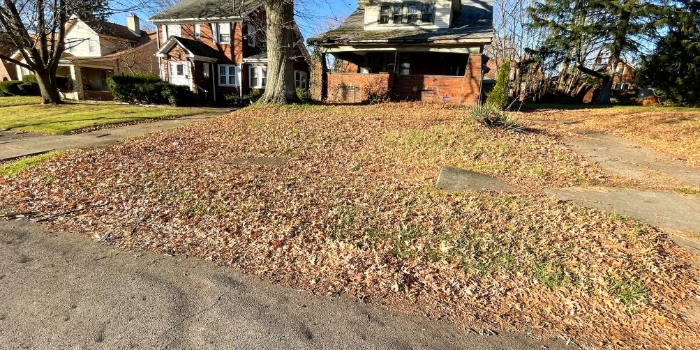 A residential home with a front lawn that's completely covered in fallen leaves.
